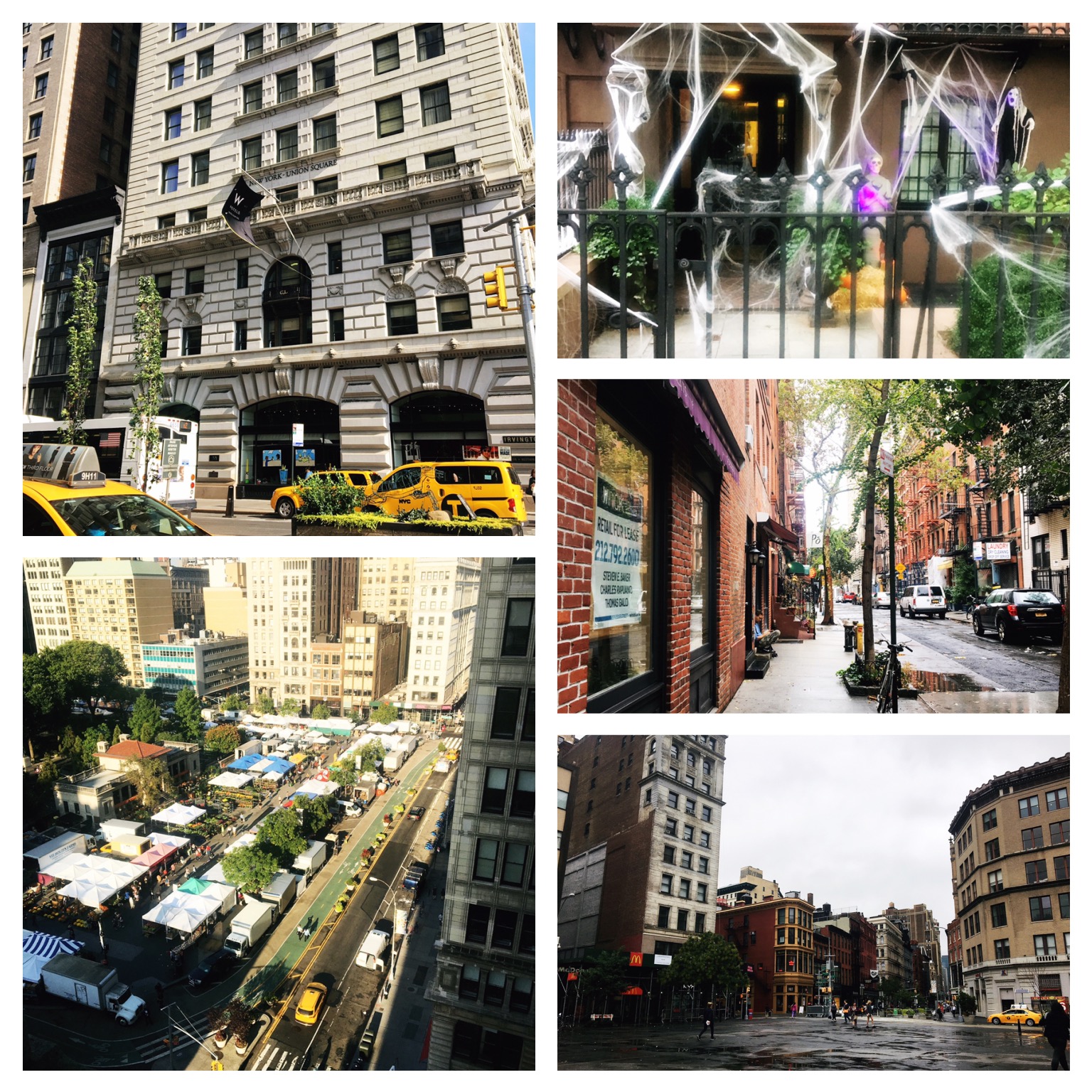 Positively Learning Blog A Trip to Teachers Pay Teachers in New York City