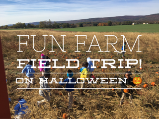 Positively Learning Pumpkin Time and Farm Field Trip