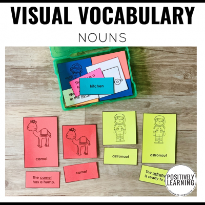 Noun Vocabulary Cards - Positively Learning