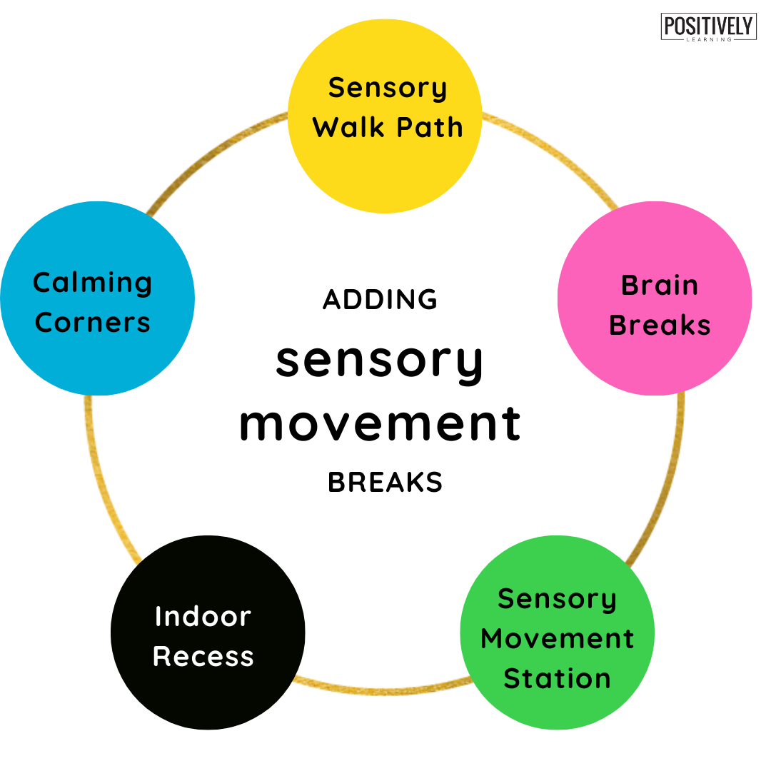 Indoor Sensory Pathway  Indoor recess ideas preschool, Sensory