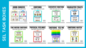 Social Emotional Learning in Special Education - Positively Learning
